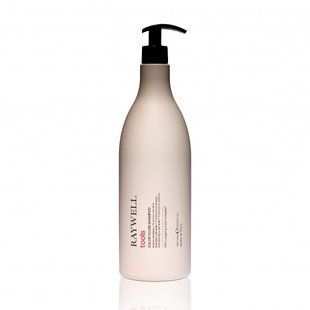RAYWELL TOOLS Color Close Шампунь для фарбованого волосся 1000ML  RR512 фото