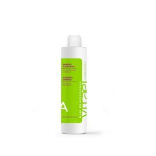 VITAEL COLORED HAIR ACIDIFYING SHAMPOO Шампунь для фарбованого волосся 300ml VTL0003 фото